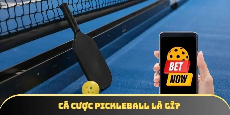 Hãy cập nhật cá cược bộ môn Pickleball một cách bài bản 