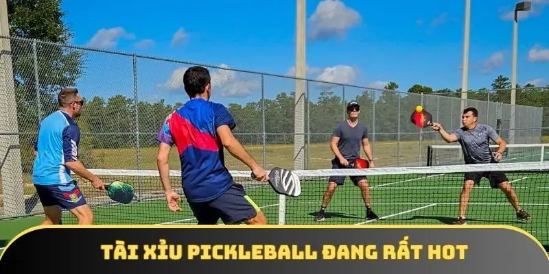 Cũng như bóng đá, Tài Xỉu Pickleball cũng hot không kém