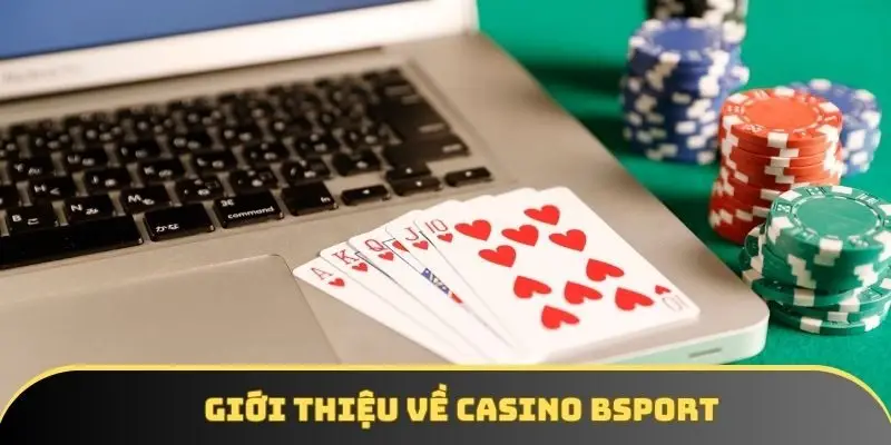 Giới thiệu về casino BSPORT