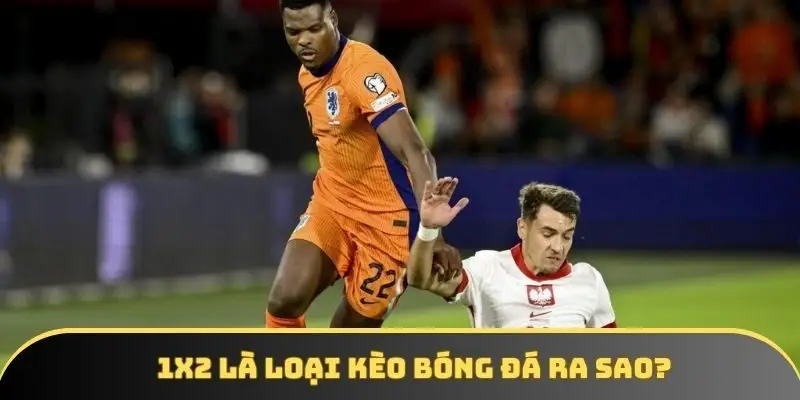 Kèo 1x2 là gì sẽ được giải đáp cụ thể nhất 