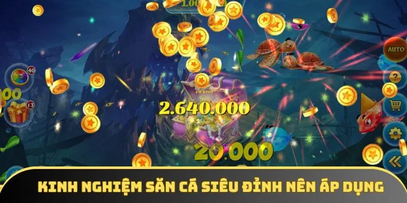 Kinh nghiệm săn cá siêu đỉnh nên áp dụng