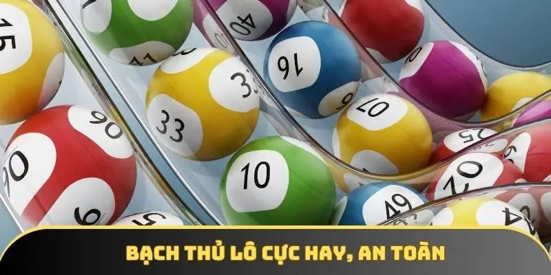 Bạch thủ lô cực hay, an toàn